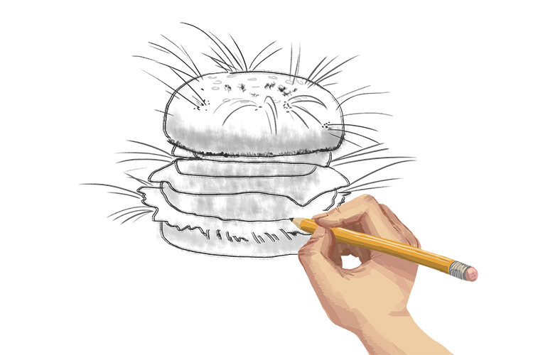 Pencil mania (Pennsylvania) caused people to draw hairy hamburgers.